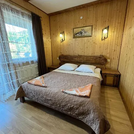 Guest house Zarichna Lyks 3*