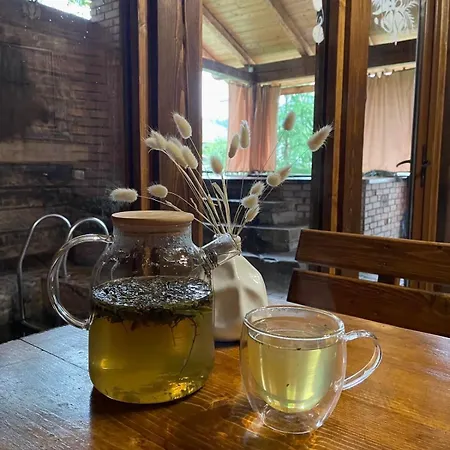 Zarichna Lyks Guest house 3*