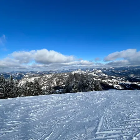 Guest house Zarichna Lyks 3*